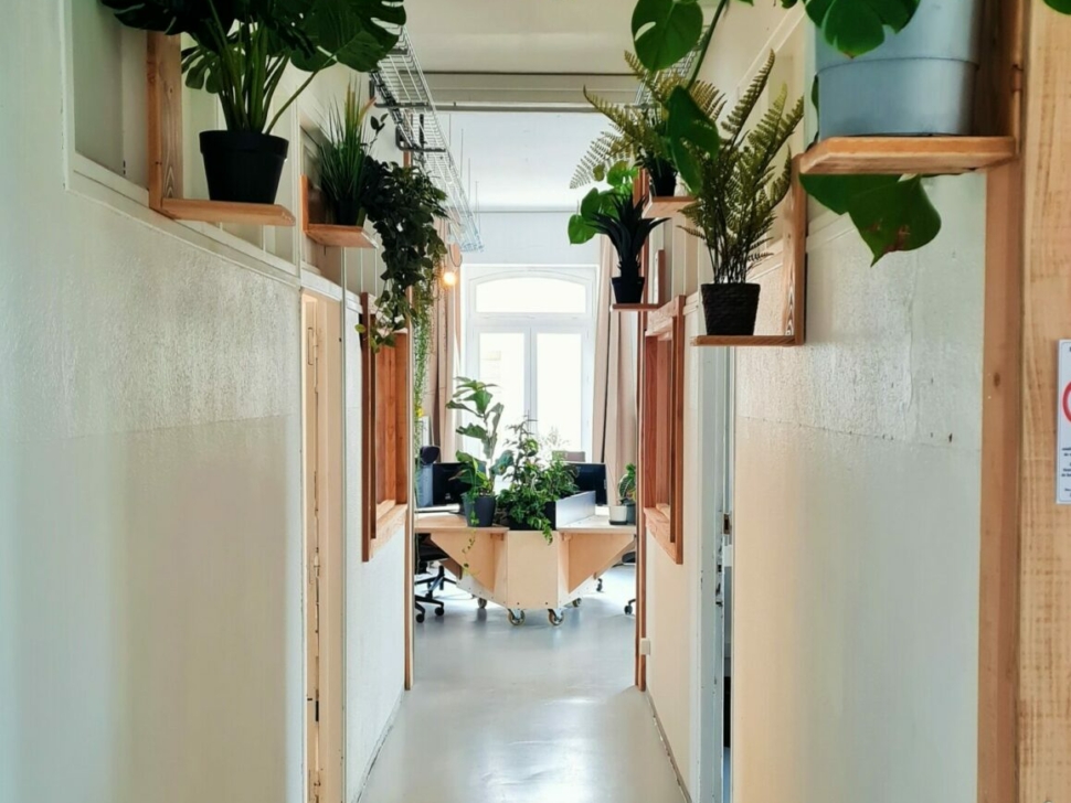 MicrosoftTeams-image