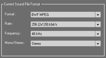 File_Format_Setup