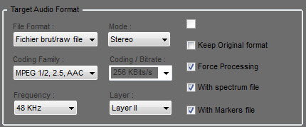 Target_Audio_Format