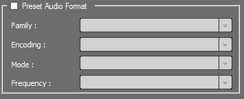 Section_Preset_Ausio_Format